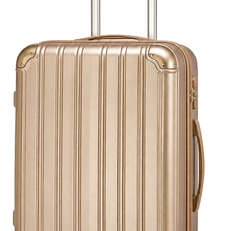 24-Inch Champagne Luxe Suitcase | 2026